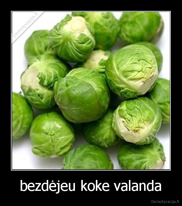 bezdėjeu koke valanda