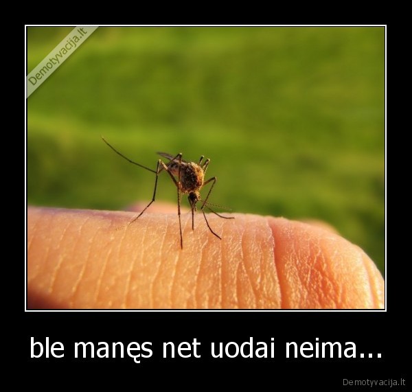 ble manęs net uodai neima...