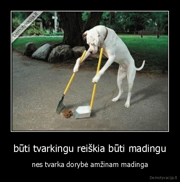 būti tvarkingu reiškia būti madingu