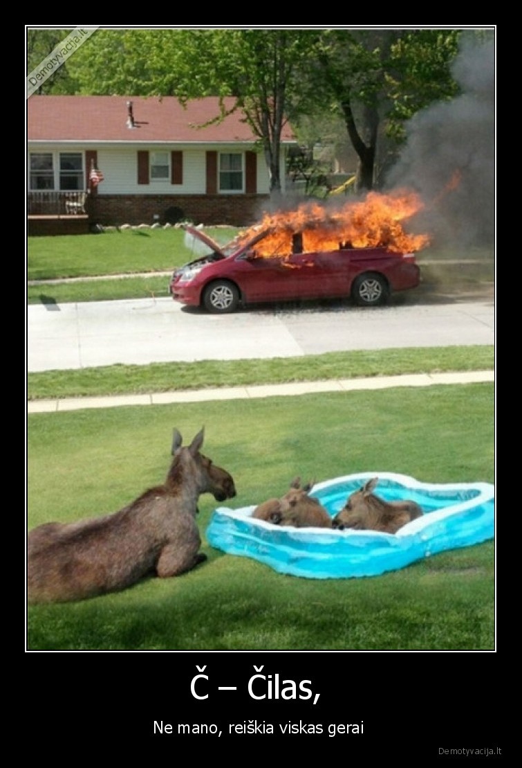 cilas,kengura,gaisras,masina,dega,ir, gerai