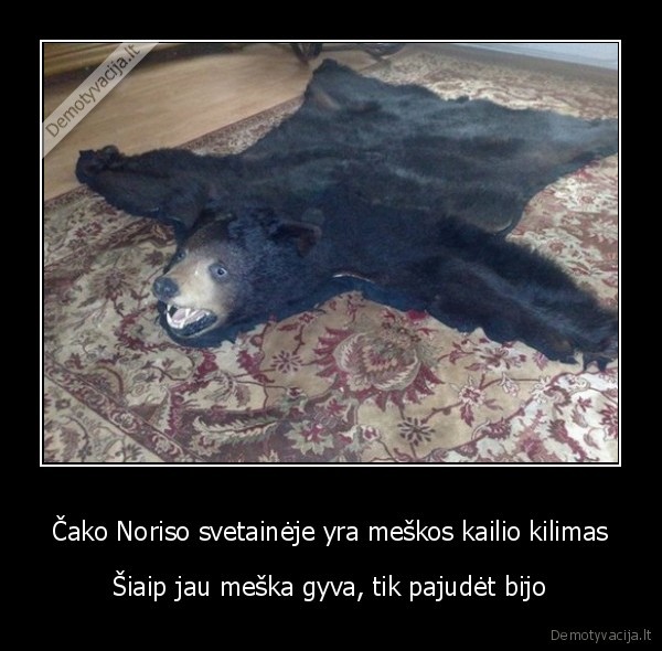 chuck, norris,meskos, kailis