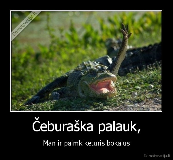 gena,ciburaska,alus,lengvas