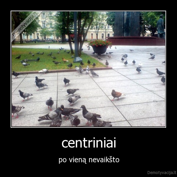 centriniai