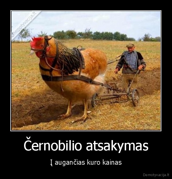 Černobilio atsakymas