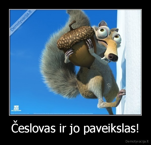 moterys, meluoja, geriau,naujausi,mmg,2013