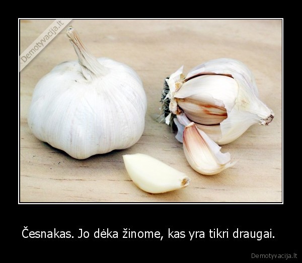 kubilius, persivalge, cesnaku