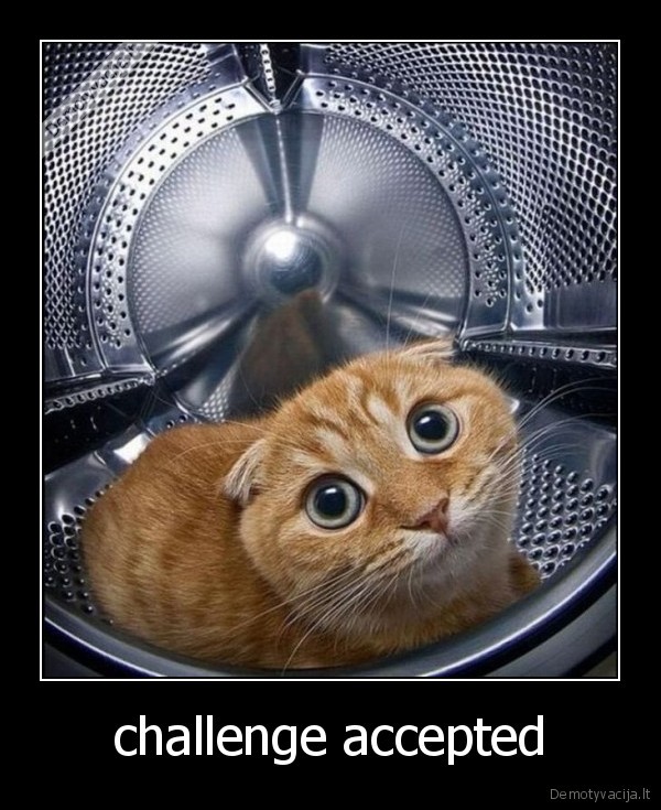 challenge accepted