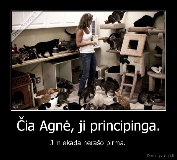 kaciu, moteris,daug, kaciu,senmerge