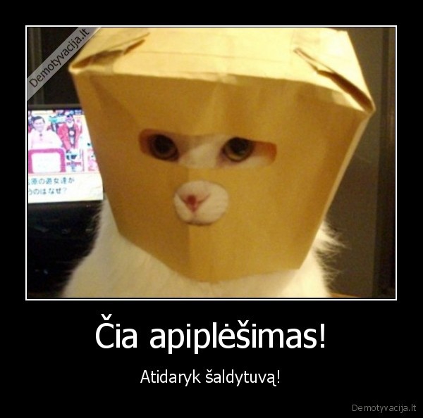 katinas, plesikas,juokingas, katinas