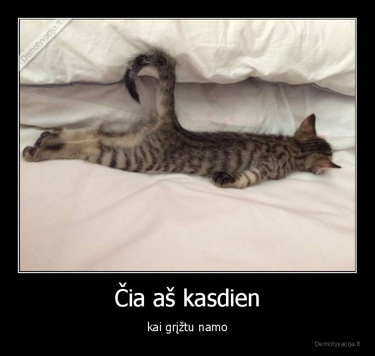 namai,miegas,mokslai,darbas