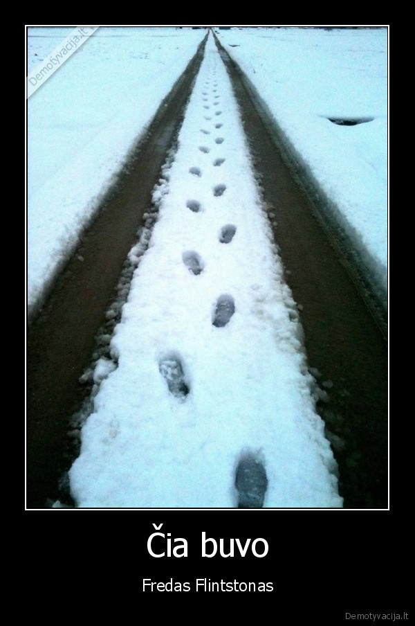 flintstonas, grybo, nepjauna