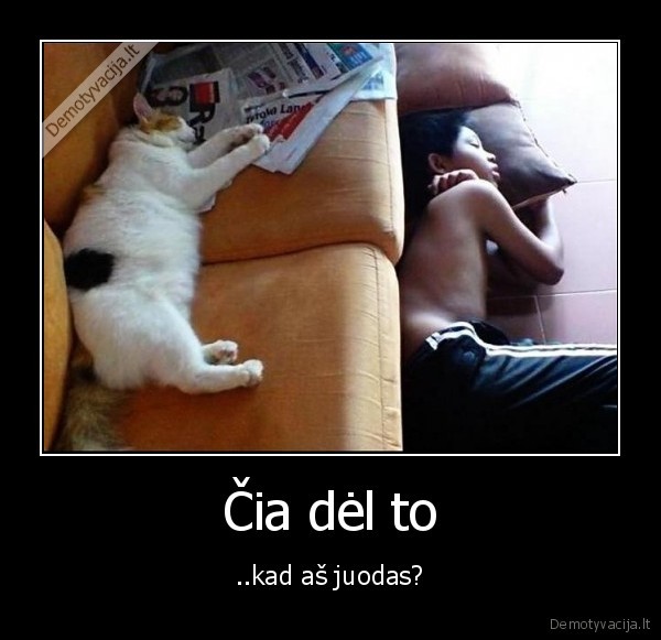 Čia dėl to