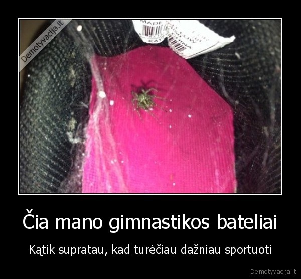 gimnastika,avalyne,batai,voras