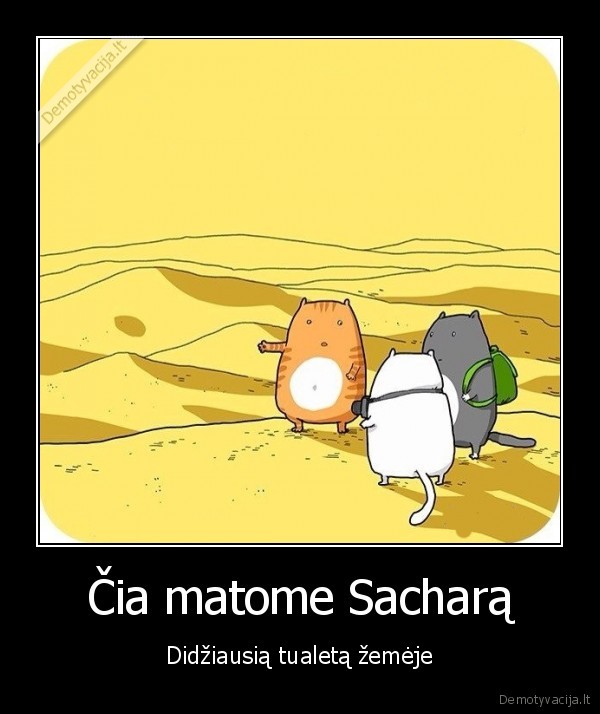 sacharos, dykuma,smelio, dezute,kaciu, tualetas