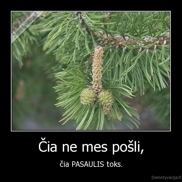 Čia ne mes pošli,
