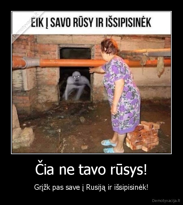 rusija,rusys,rake