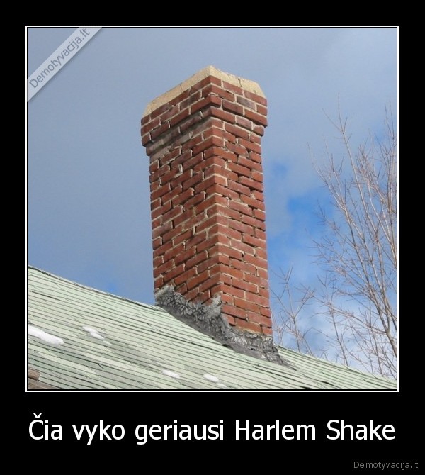 Čia vyko geriausi Harlem Shake