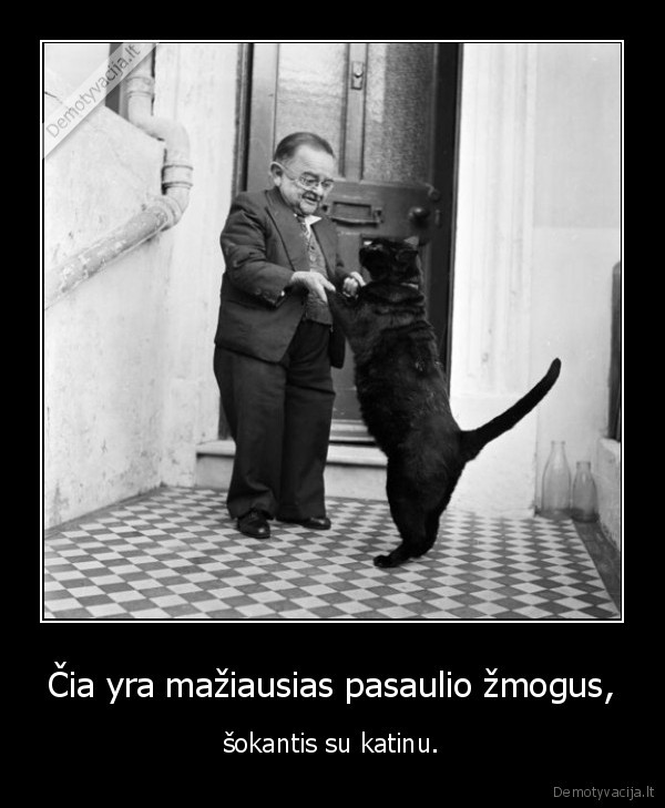 zmogus,maziausias,pasaulis,katinas