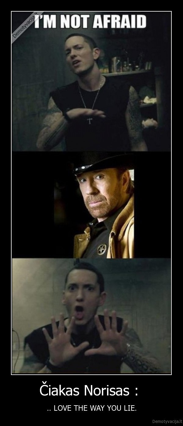 love,the,way,you,lie,eminemas,chuck,norris