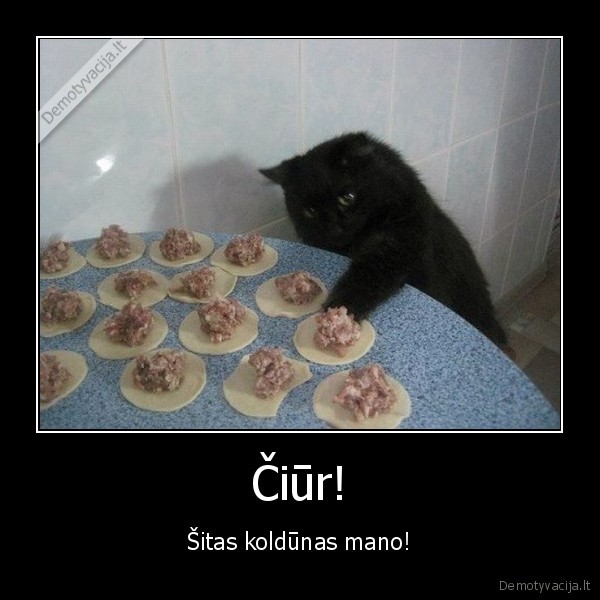 koldunu, receptas,kodunu, gaminimas,naminiai, koldunai,katinas, vagis