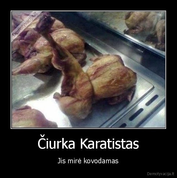 vista, ciurka, karatistas, mire, kovodamas, jis, kepti, kepta, vistiena, kulsis