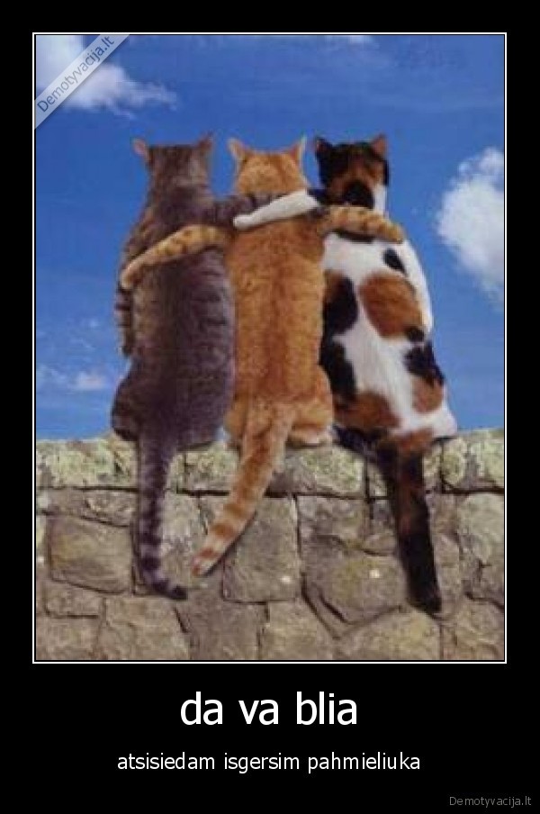 katinai,degtine,atsisedimas