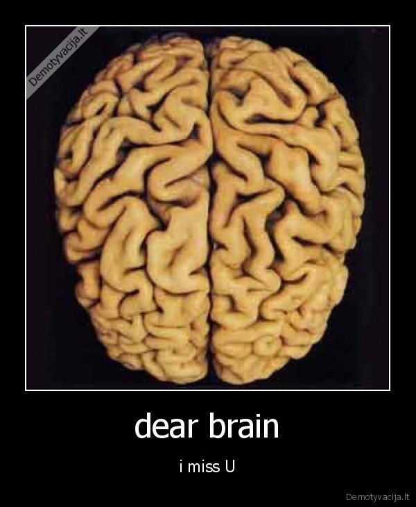 dear brain