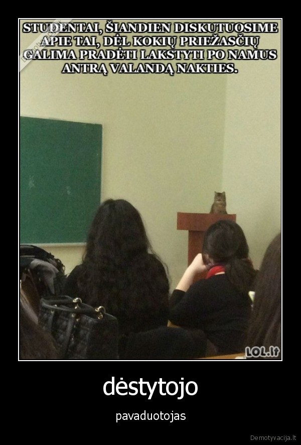 destytojas,katinas,pavaduotojas