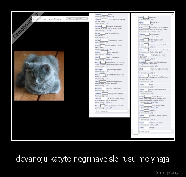 katinukas,atiduoda,dovanoja,automobilis,dyzelis,variklis,katinas,egidmausy