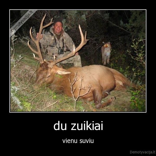 gyvunai, pzdc, ragas