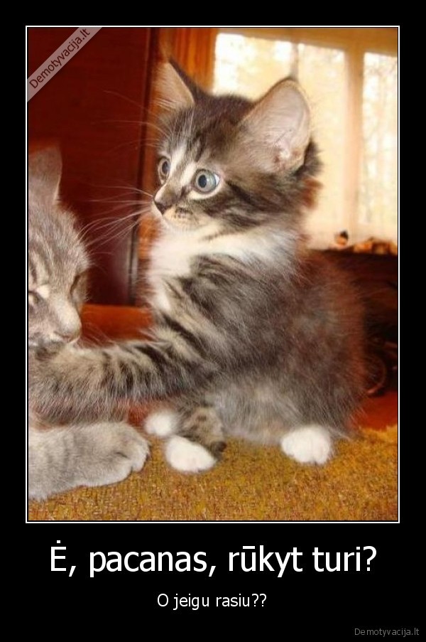 Ė, pacanas, rūkyt turi?