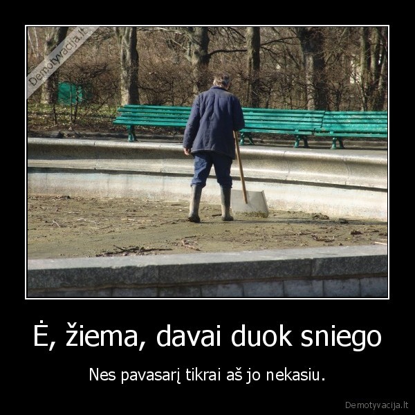 ziema,ziema,sniegas,kasti