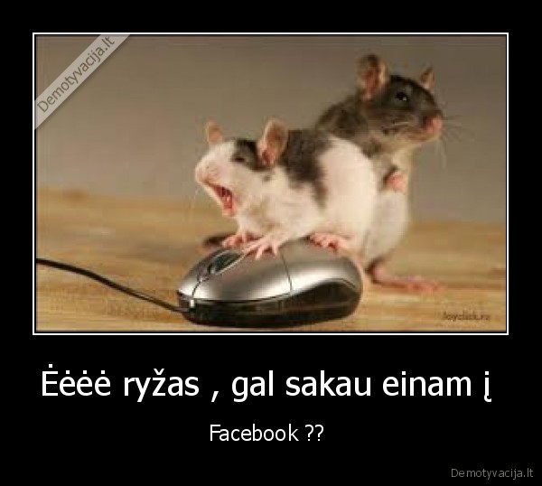 Ėėėė ryžas , gal sakau einam į 