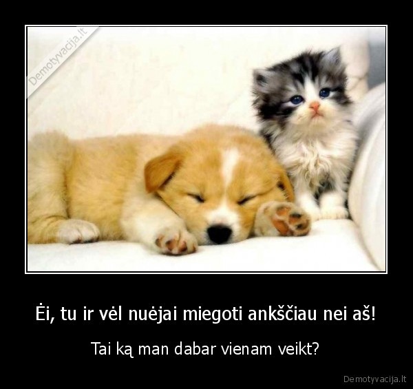 Ėi, tu ir vėl nuėjai miegoti ankščiau nei aš!