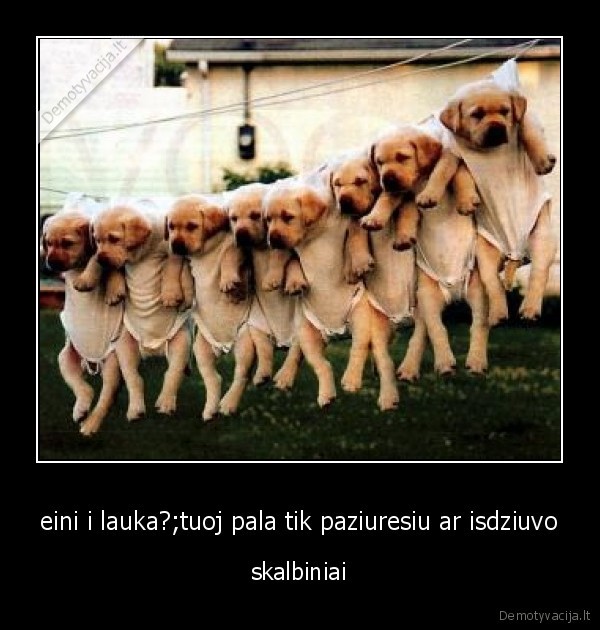 eini i lauka?;tuoj pala tik paziuresiu ar isdziuvo