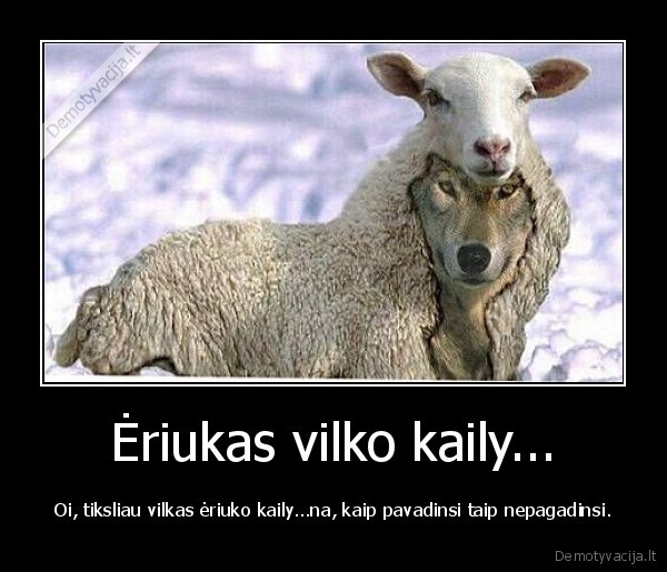 Ėriukas vilko kaily...