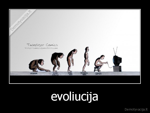 gamerio, evoliucija