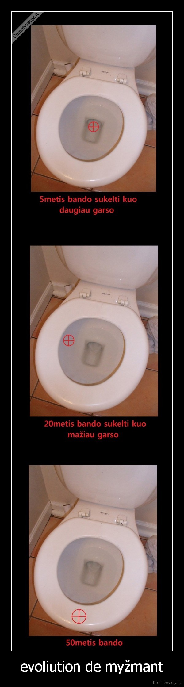 evoliution de myžmant