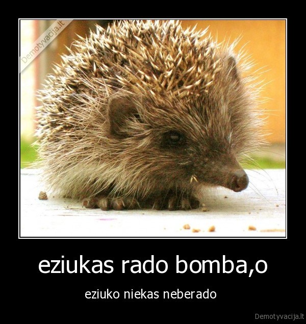 eziukas rado bomba,o