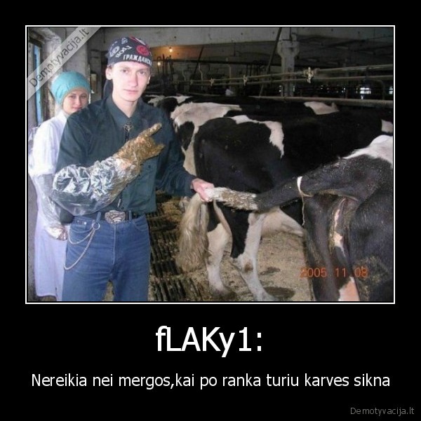 fLAKy1: