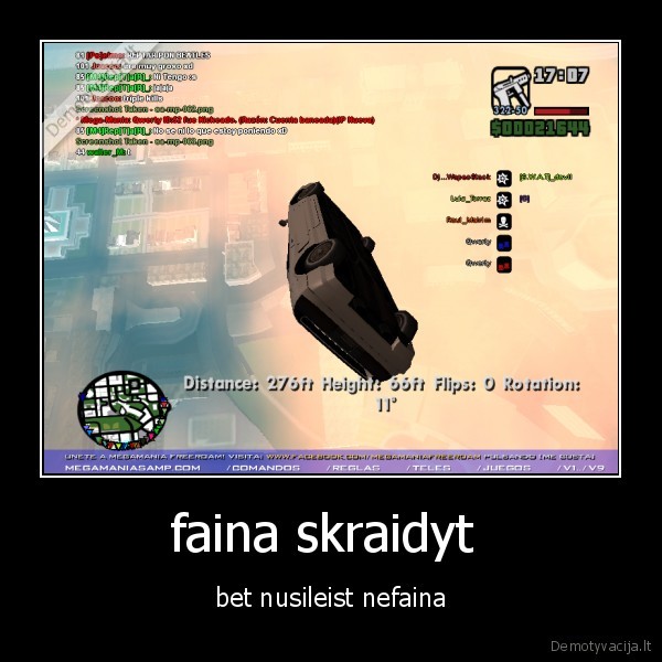 faina skraidyt 