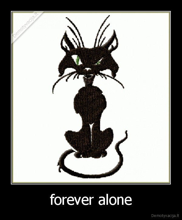 juodas,katinas,alone