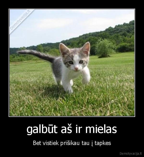 galbūt aš ir mielas