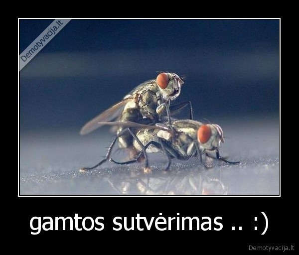 gamtos sutvėrimas .. :)