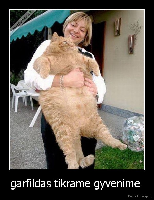 garfildas tikrame gyvenime 