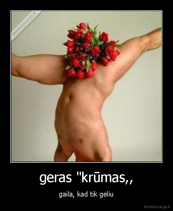 geras &quot;krūmas,,