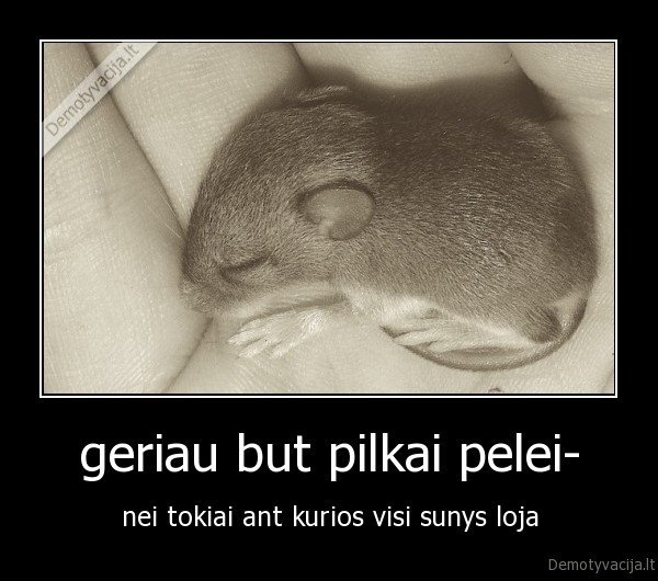 geriau but pilkai pelei-