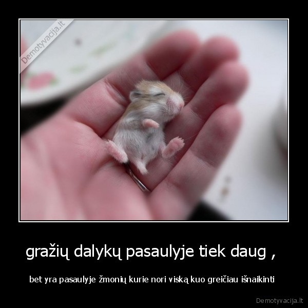 gražių dalykų pasaulyje tiek daug , 