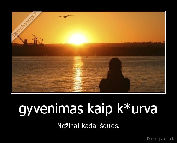 gyvenimas kaip k*urva