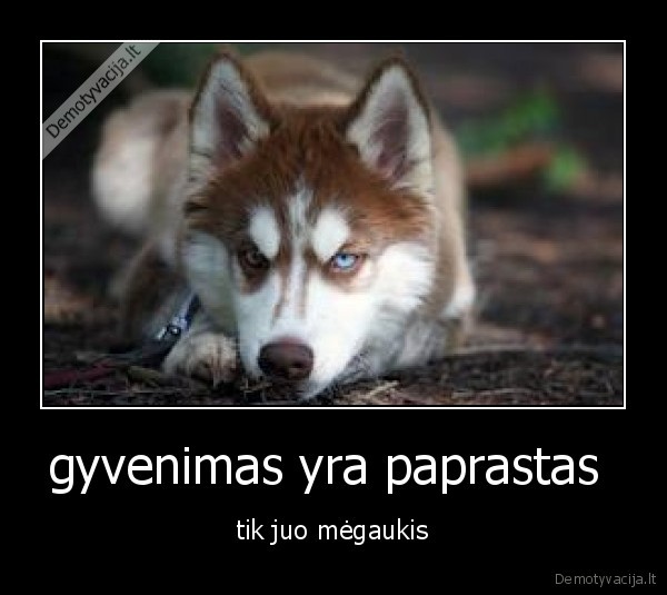 gyvenimas yra paprastas 